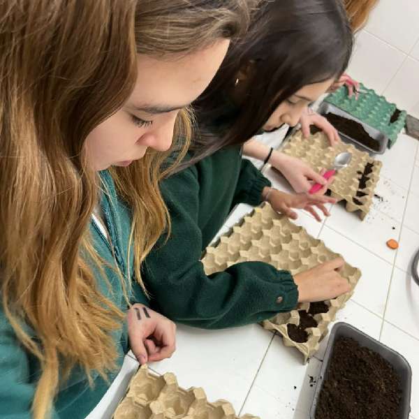 Institucional-04 Institucional-04