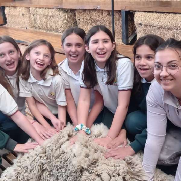 Institucional-12 Institucional-12